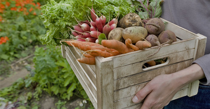 Trendspotting: Farm to table